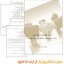 دانلود کتاب تجارت الکترونیک به صورت PDF